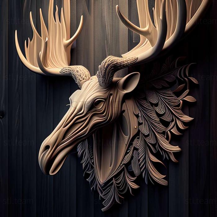 SCULL OF AGRESSIVE MOOSE